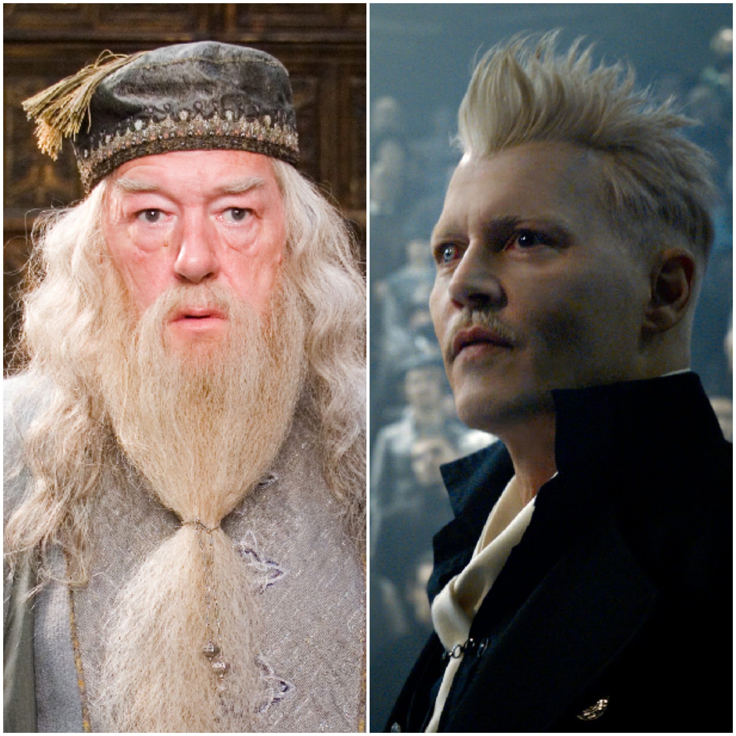 Dumbledore and Grindelwald in love