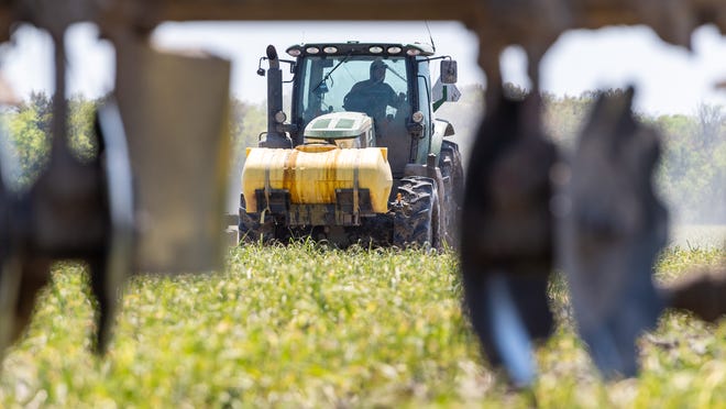 With new processing facilities and near-guarantees of profits, farmers across Louisiana, particularly in and around Acadiana, are counting on sugarcane to deliver a good crop this year.