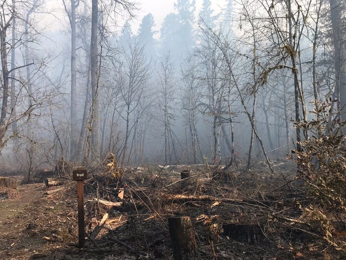Santiam Park Fire Burn ban issued in Marion, Clackamas, Linn counties