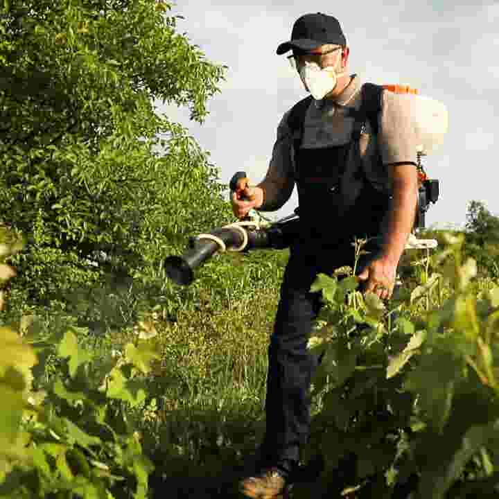 New Report Highlights Produce With Most Pesticides