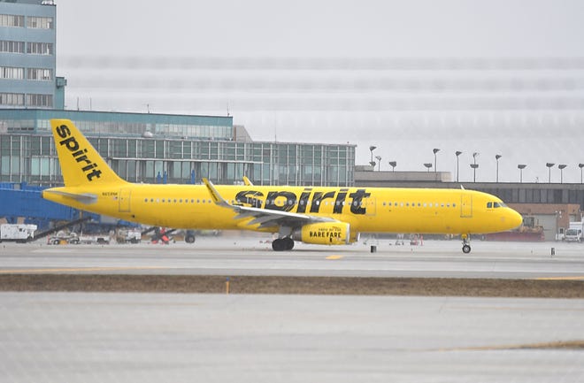 A Wayne County woman is suing Spirit Airlines for allegedly "recklessly" removing her daughter from a flight from Tampa to Detroit flight without her knowledge.