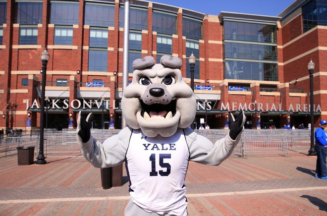 First round: The Yale Bulldogs mascot poses before the game against the LSU Tigers.