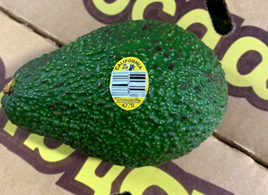 One of the avocado type subject to a voluntary recall from Henry Avocado.