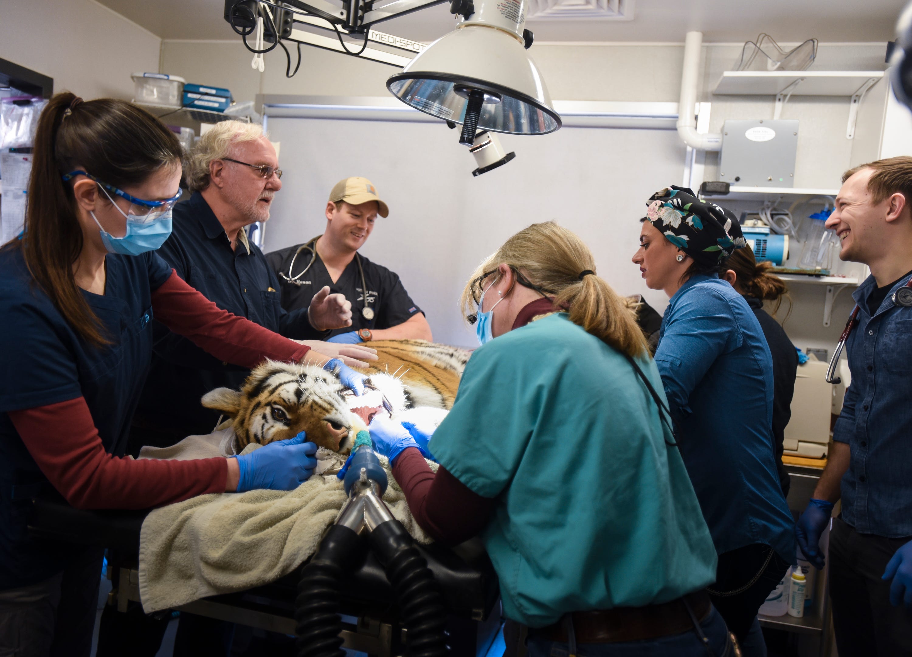 MSU prof has worked with rare and exotic animals since 1975