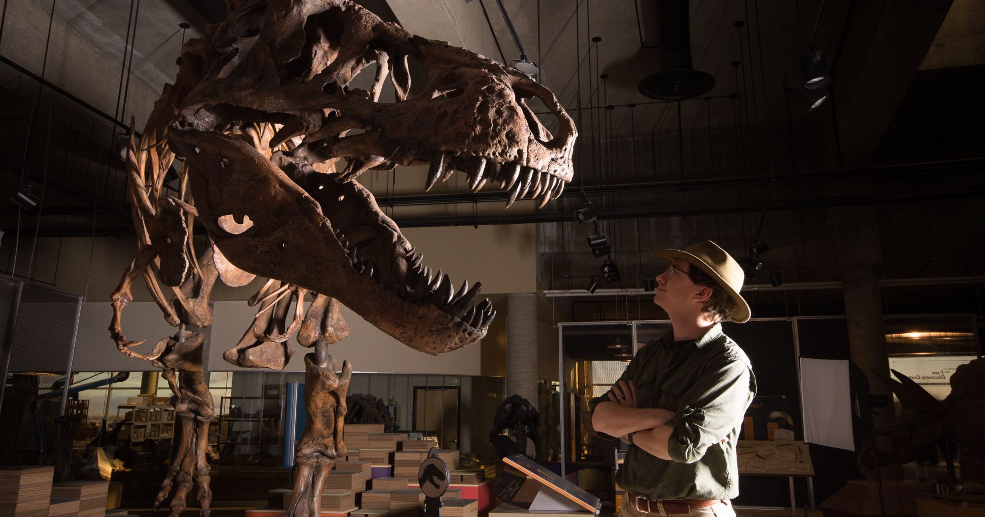 largest t rex