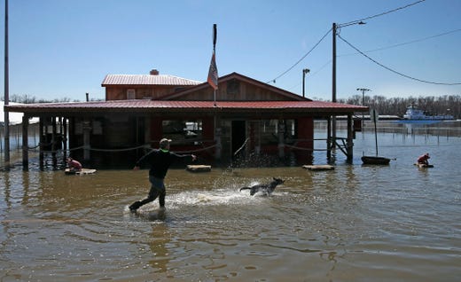 Cory Wiemelt of Quincy, Ill., the new owner of the Hawg Pit BBQ, passes the day playing fetch with his dog Abbie, while keeping an eye on his bar located along a flooded part of W. Main Street, Tuesday, March, 26, 2019, in Grafton, Ill. "We are located at the lowest spot in town. I knew that when I bought the place," said Wiemelt. "I just have to wait for the water to go down before I can start cleaning up," he said.