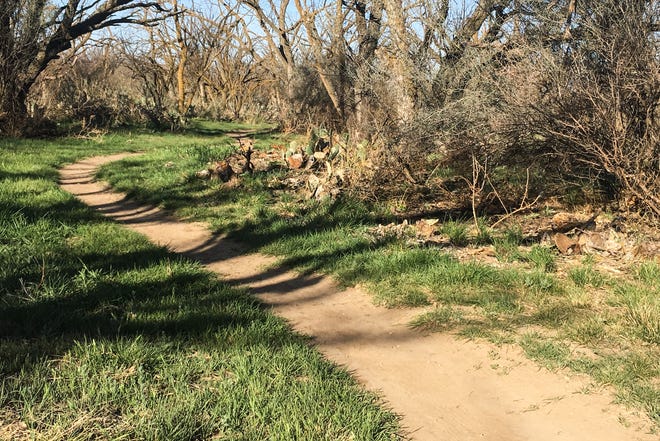 A trail at the San Angelo State Park.