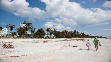 Webcams Naples Daily News