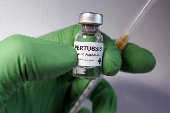 pertussis immunization