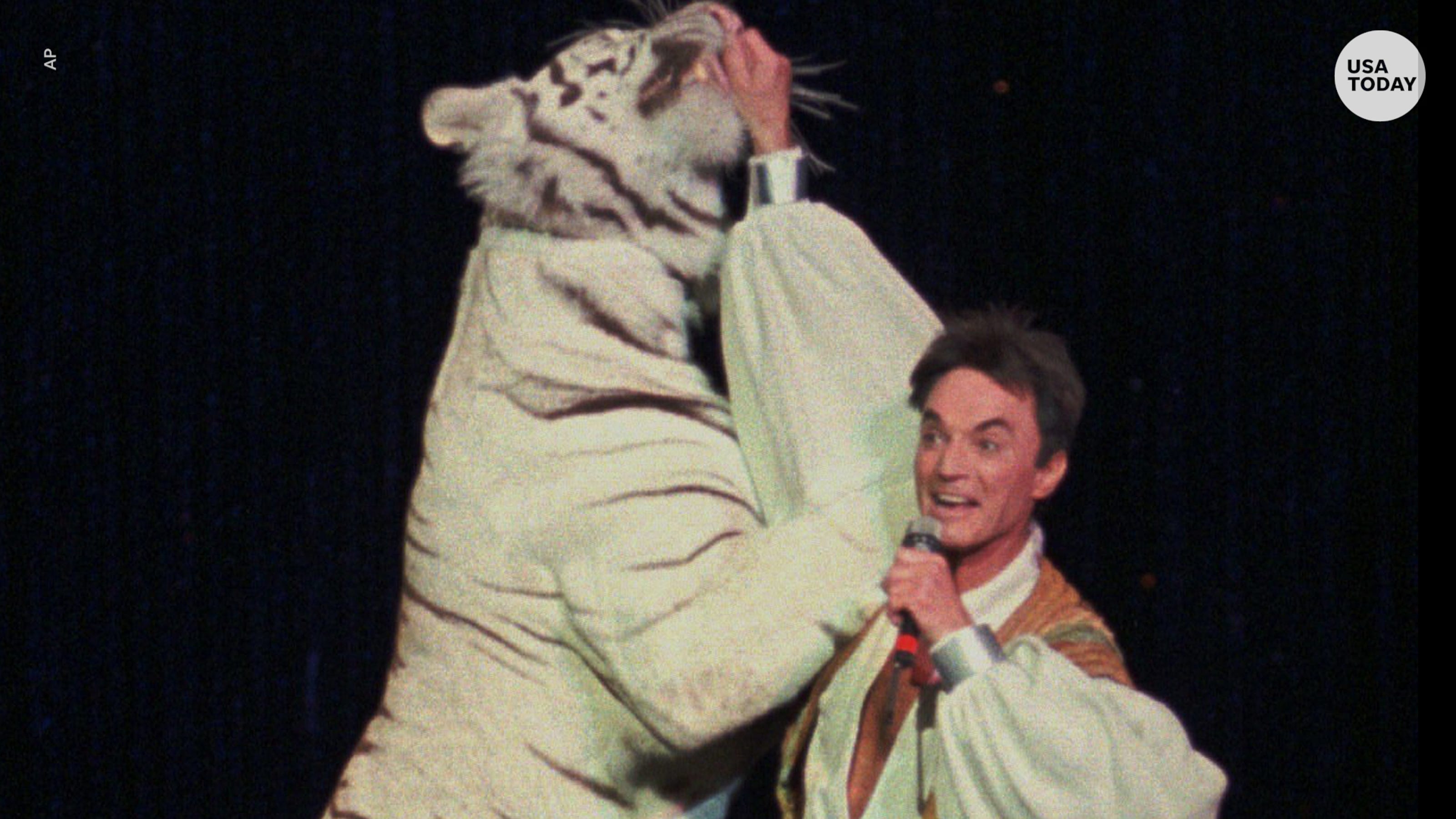 siegfried and roy stuffed white tiger