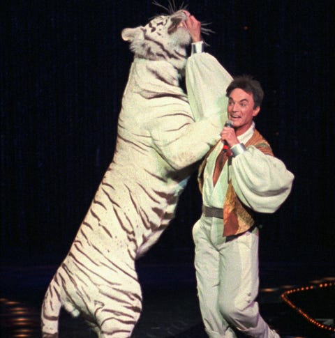 FILE -- Roy, of the world-renowned illusionists...