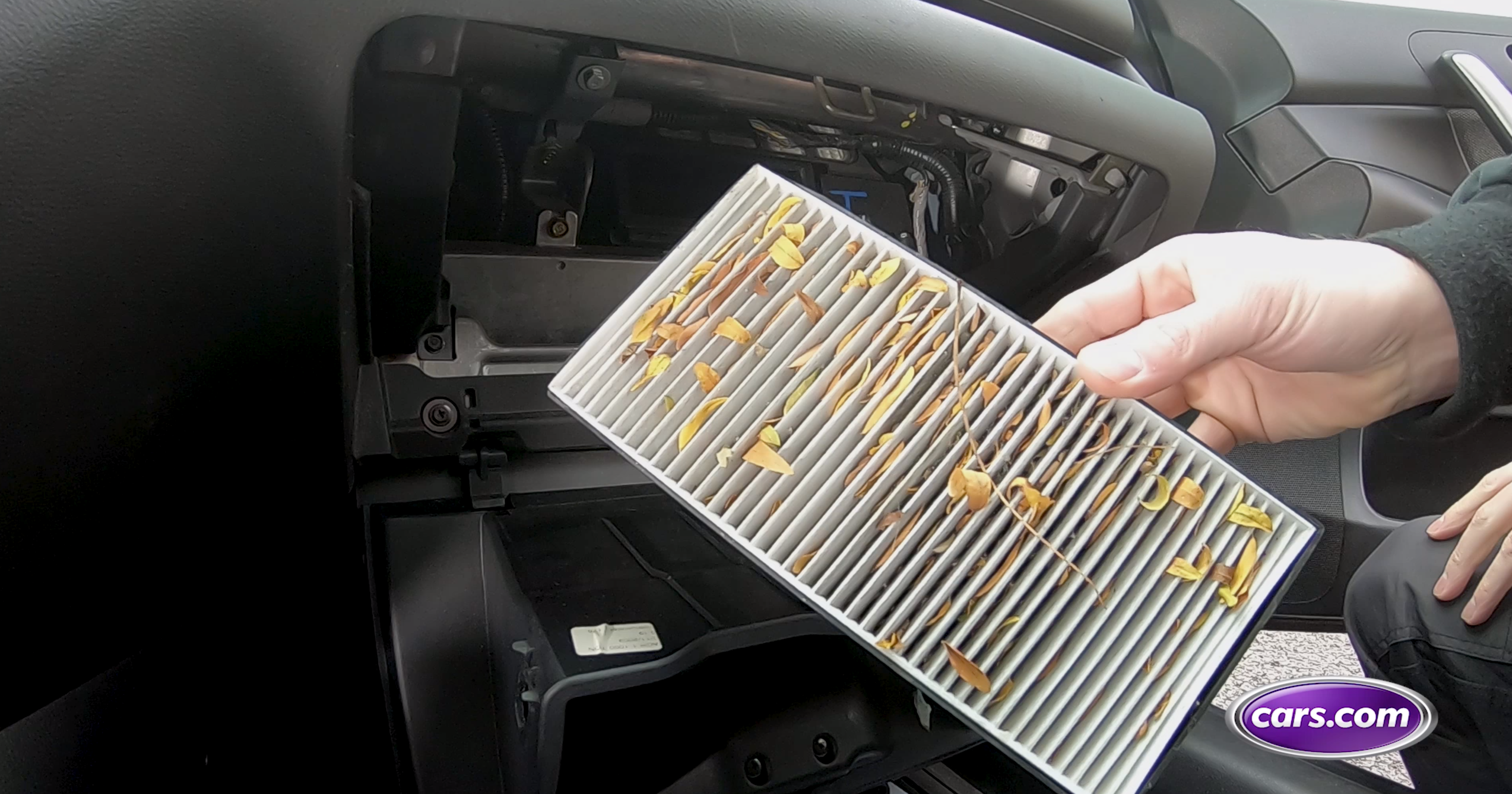 Clearing The Air On The Importance Of Your Cabin Air Filter