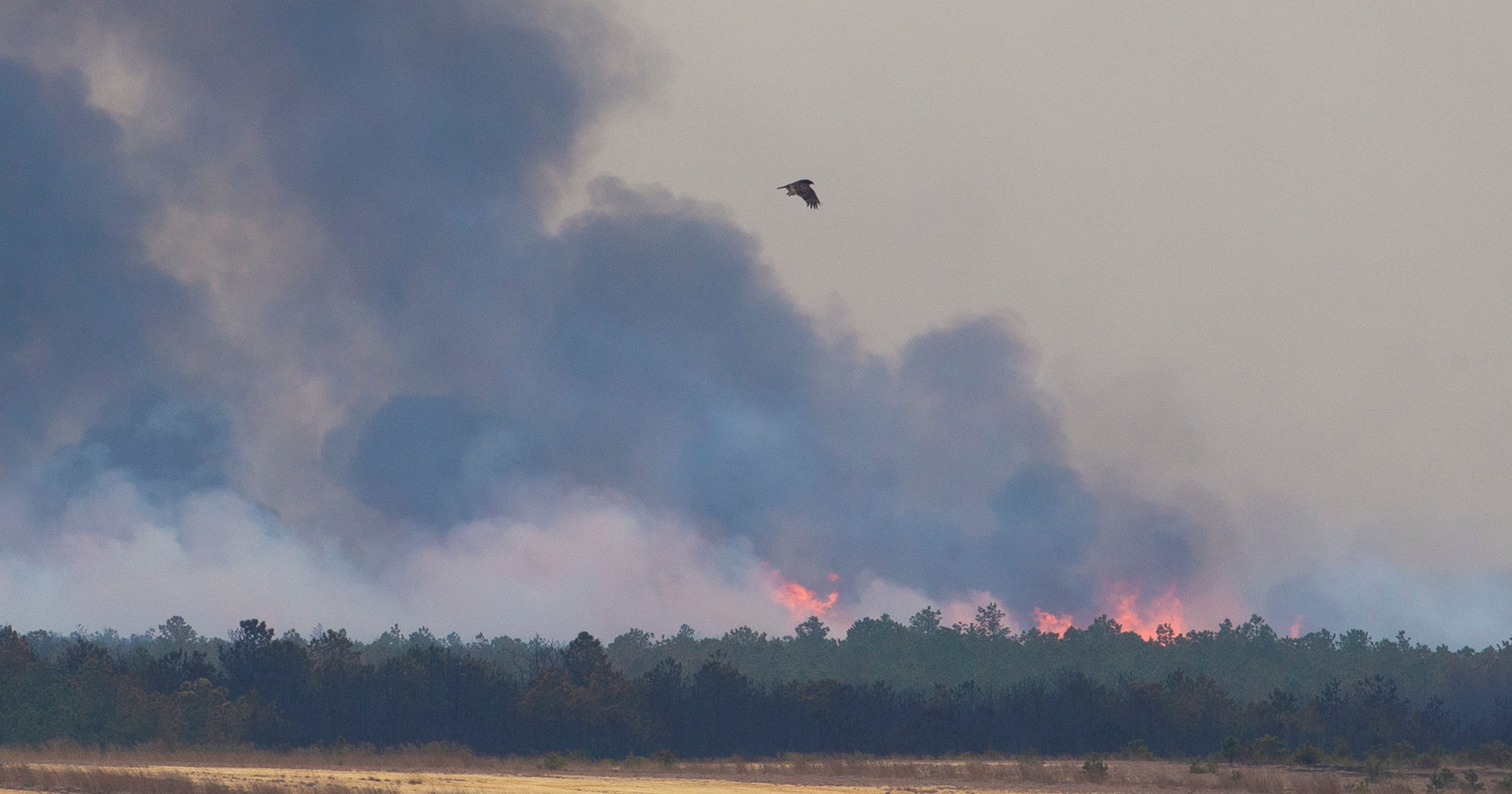 NJ forest fire Route 72 in Barnegat still closed, 10,000 acres burning