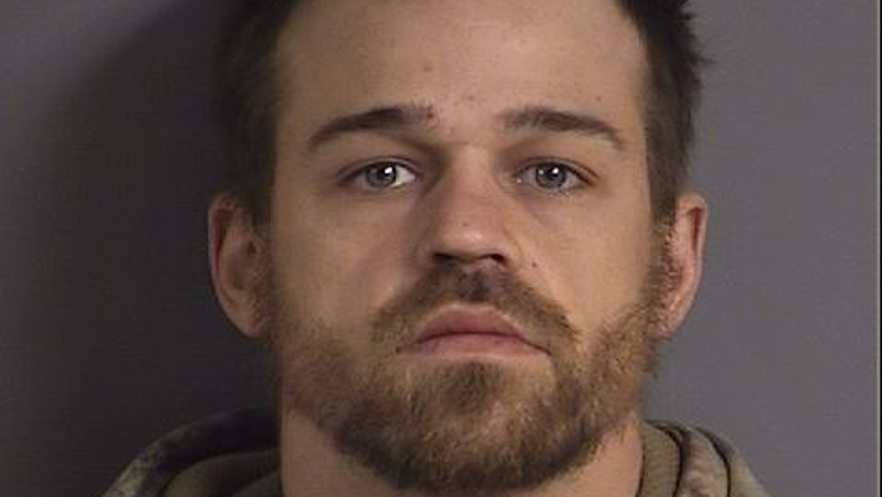 Johnston County Mug Shots