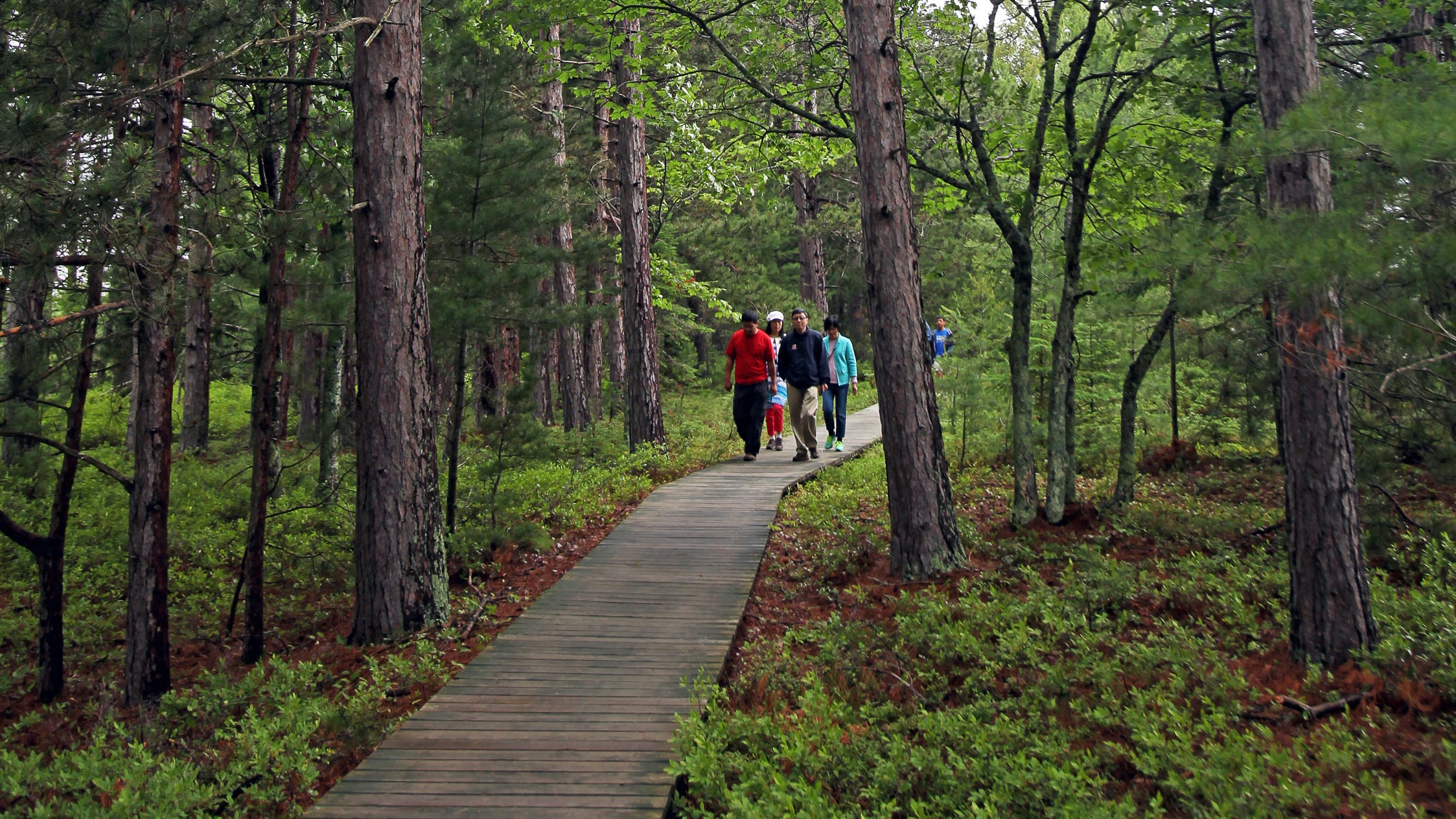 8 boardwalks and paved trails for spring hikes in Wisconsin