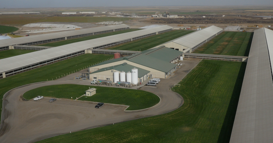 Aerial view of Threemile Canyon Farms from 2016 provided by the dairy.