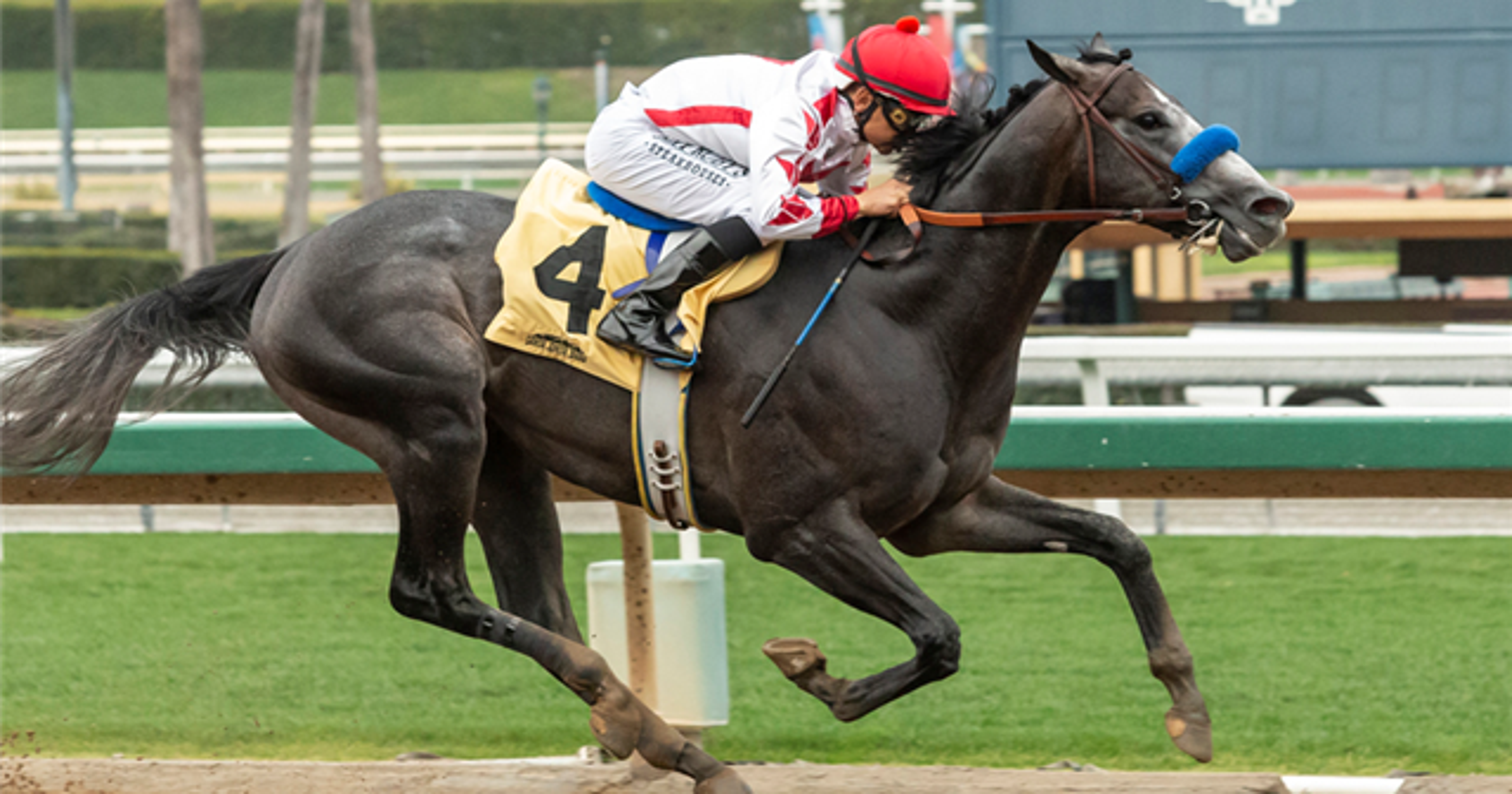 Bob Baffert has top 3 horses in Kentucky Derby Media Poll