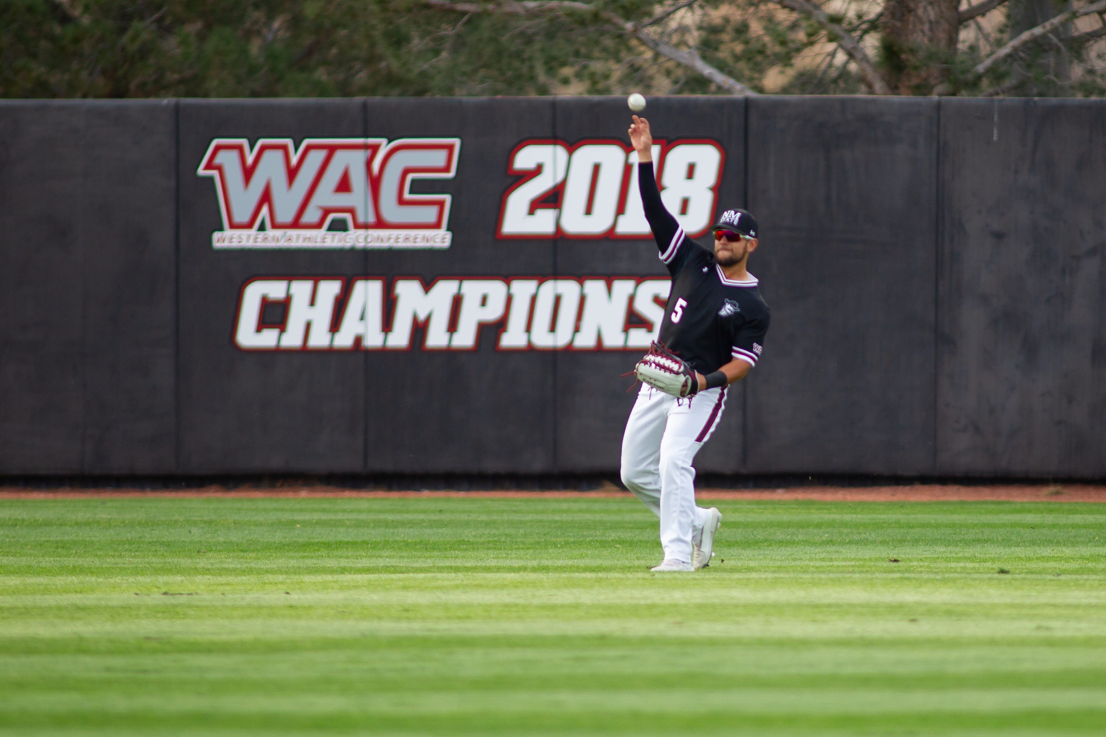 New Mexico State baseball hosts Grand Canyon