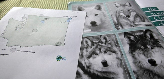 This June 18, 2011 file photo shows a map of confirmed and possible wolf packs in Washington state next to a magazine about wolves.