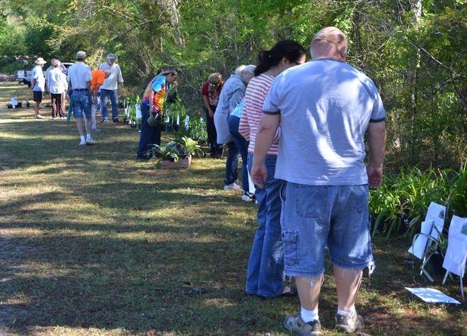 There are plenty of opportunities to purchase a variety of locally grown plants at Wakulla Master Gardeners plant sale on Saturday.