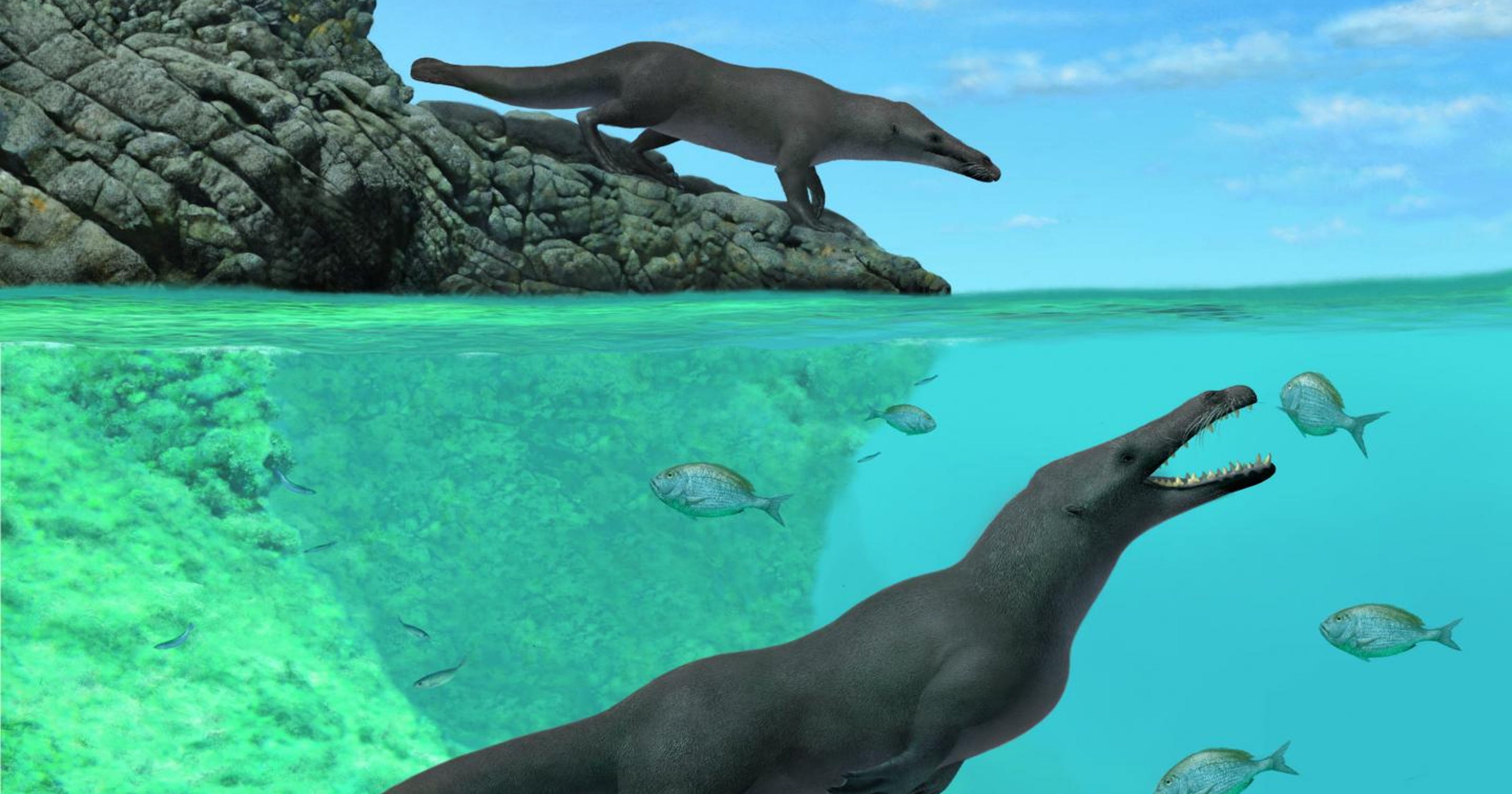 Ancient Whale Had Four Legs Hooves And Could Live On Land