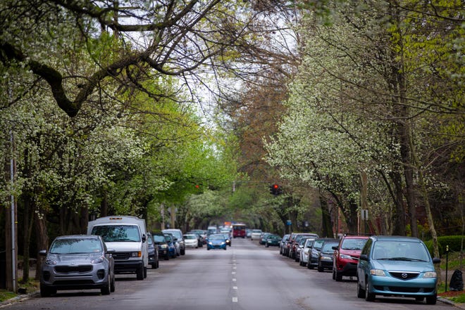 Trees show green and blooms along South Third Street in Old Louisville. April 5, 2019