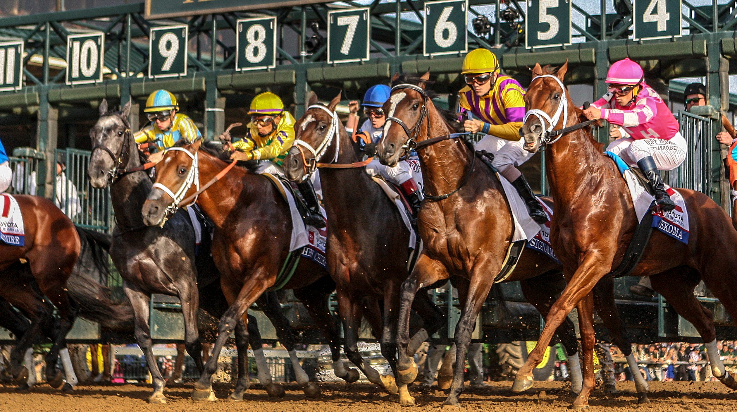 Kentucky Derby preps races New points races unveiled for Sept. 5 race