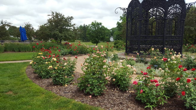 The Minnetrista Rose Garden