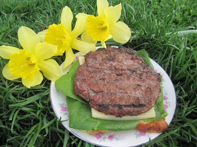 In this week's Amish Cook column, Gloria shares a recipe for springtime burgers.