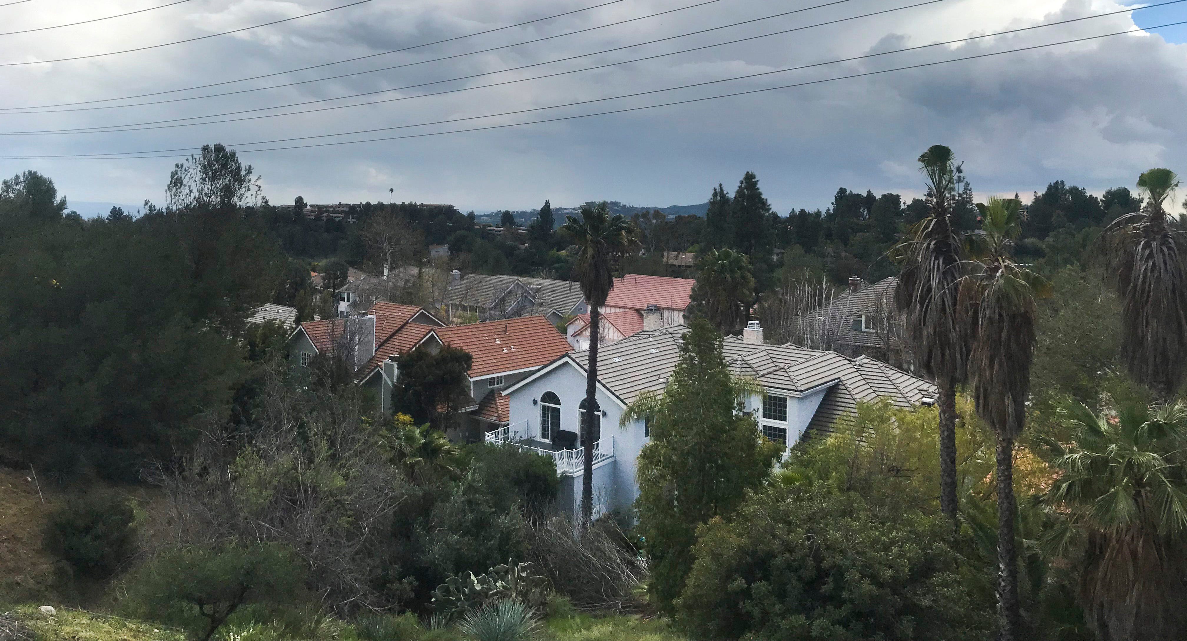 Trees and power lines cover a subdivision in La CaÒada Flintridge, a Los Angeles suburb whose population faces a high fire risk.