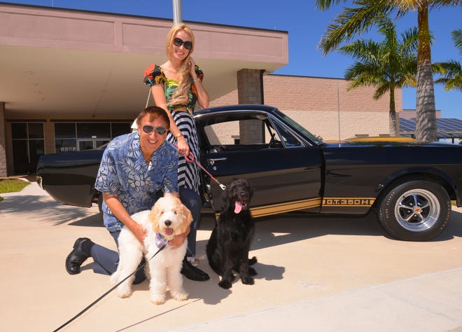 Mark and Tetiana Pieloch pose with Marlowe, a white goldendoodle, and Ziggy, a black Labradoodle, in front of a 1966 Ford Mustang Shelby GT350H at the American Muscle Car Museum in Melbourne.