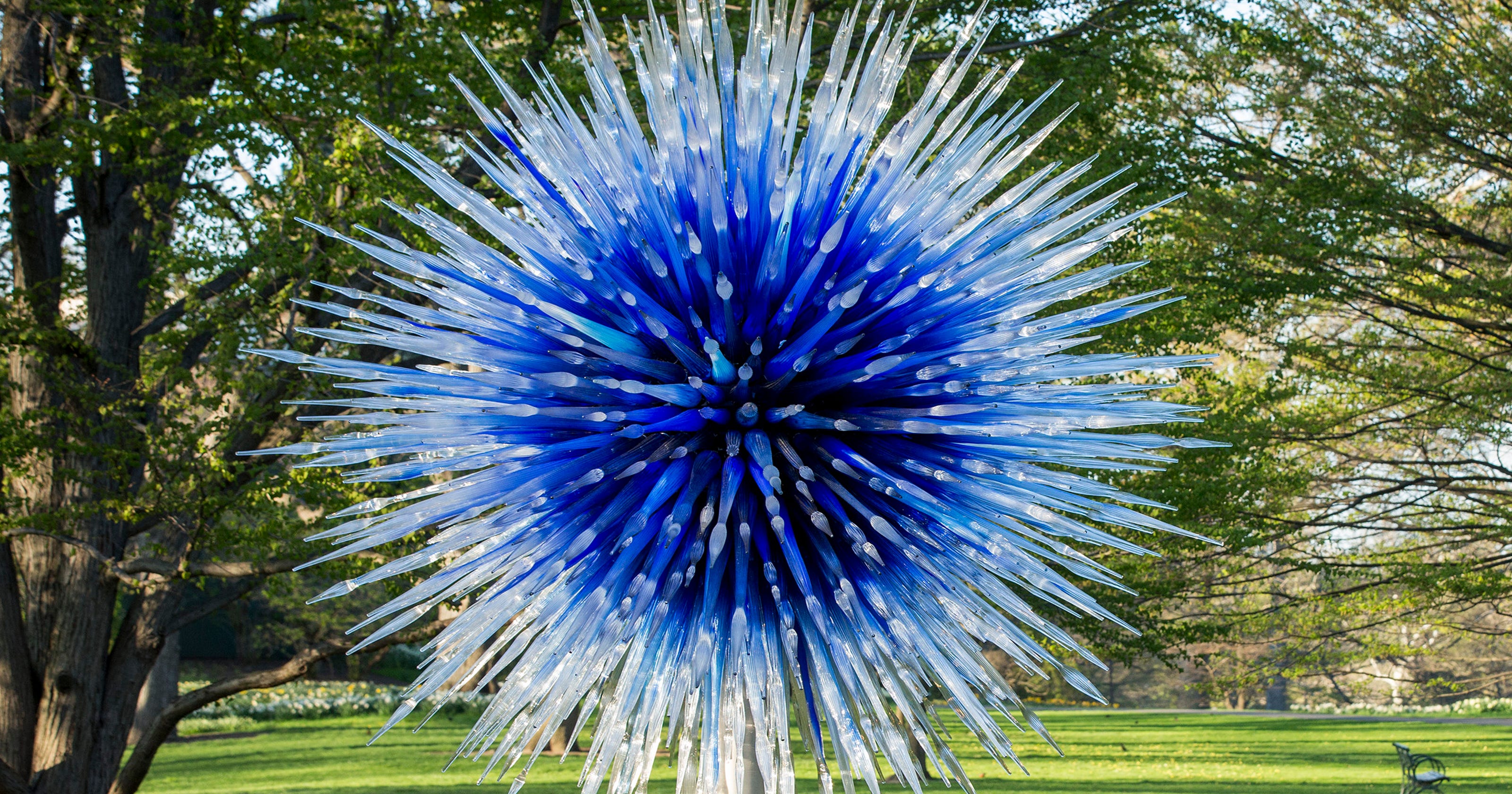 Chihuly At Cheekwood Glass Sculpture Installation To Return