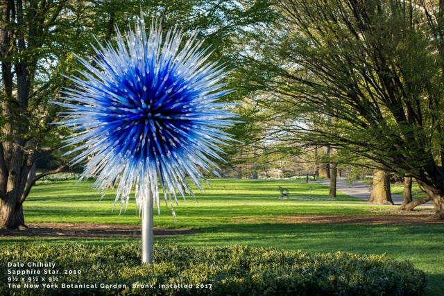 Chihuly At Cheekwood Glass Sculpture Installation To Return In 2020