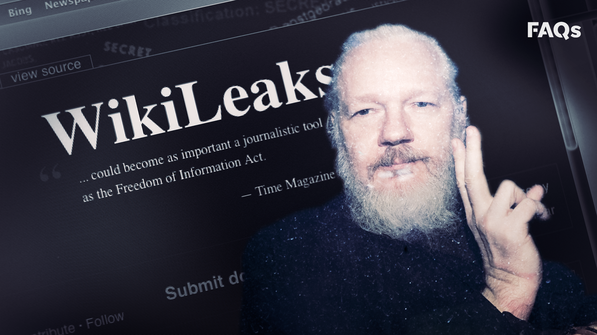 Image result for julian assange