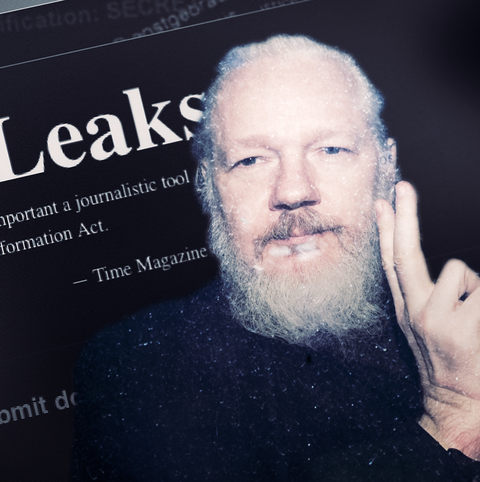WikiLeaks founder Julian Assange is a hero or...