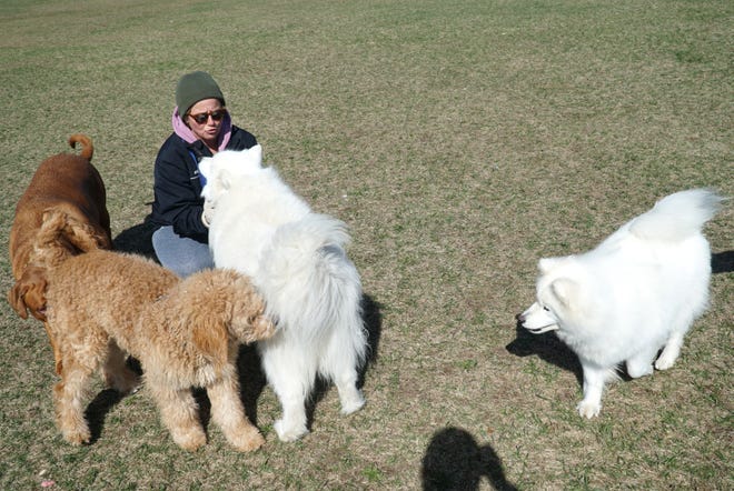 Release The Hounds Milford Dog Park Reaches Goal To Open This Summer Release The Hounds Milford Dog Park Reaches Goal To Open This Summer