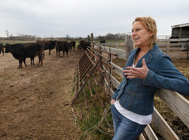 FILE - In this March 19, 2019 photo, Linda Woodruff talks about her wagyu cattle during an interview at Silverwood Ranch southeast of Enid, Okla.