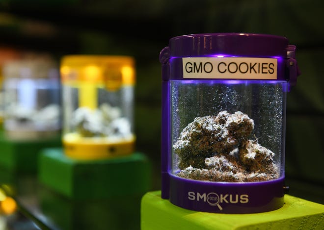 GMO Cookies flowers by Midwest Organics at The Curing Corner in River Rouge, Mich. on April 15, 2019. Nearly all of the River Rouge outlets' marijuana is from caregivers.