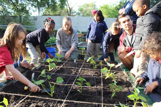 Students at Tallahassee School of Math and Science incorporate STEM concepts as they plant their spring garden with assistance from Damayan Garden Project volunteers and UF/IFAS Extension.