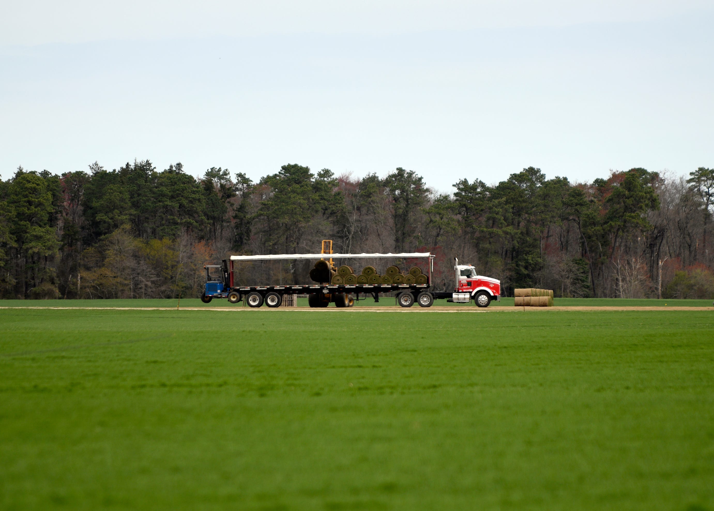 Hammonton sports turf farm wants 1,300 acres in Millville