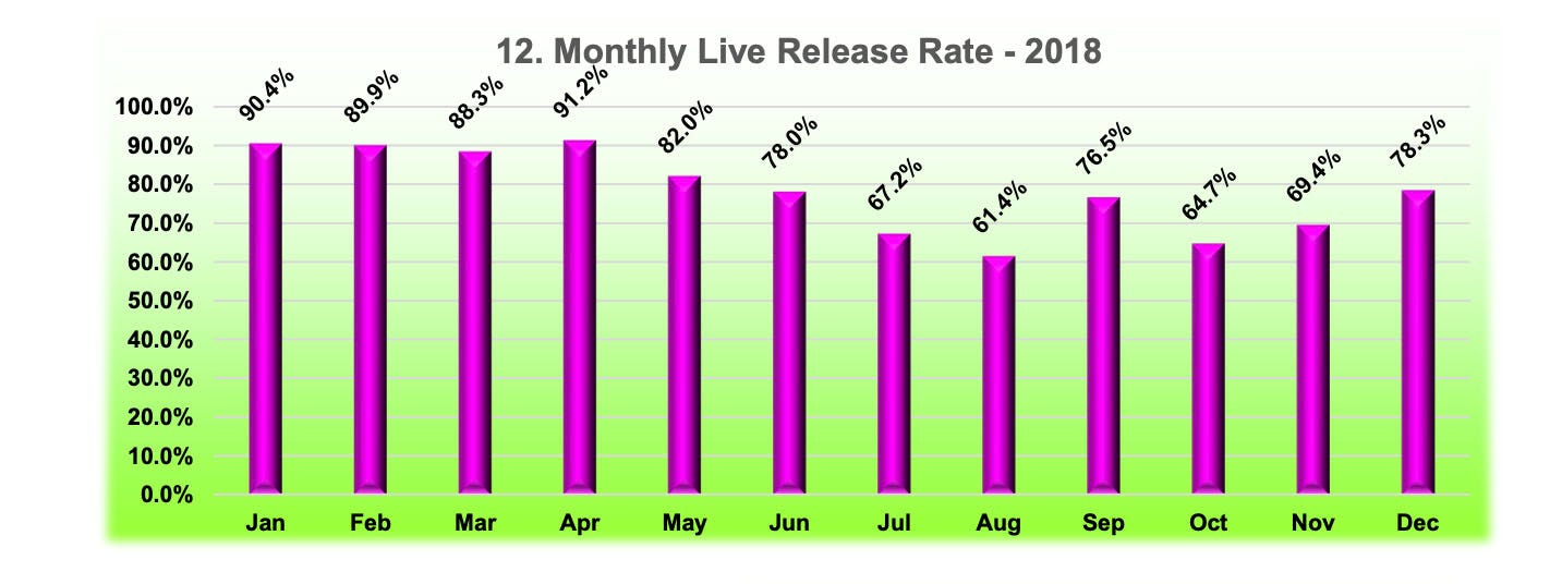 animal service center of mesilla valley