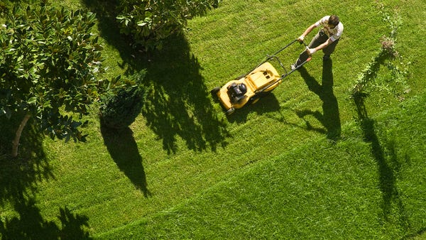5 common lawn care mistakes you may be making