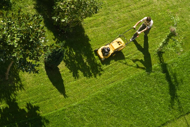 Experts say you should never trash grass clippings after mowing, because they contain valuable nutrients that will help your lawn stay healthy.