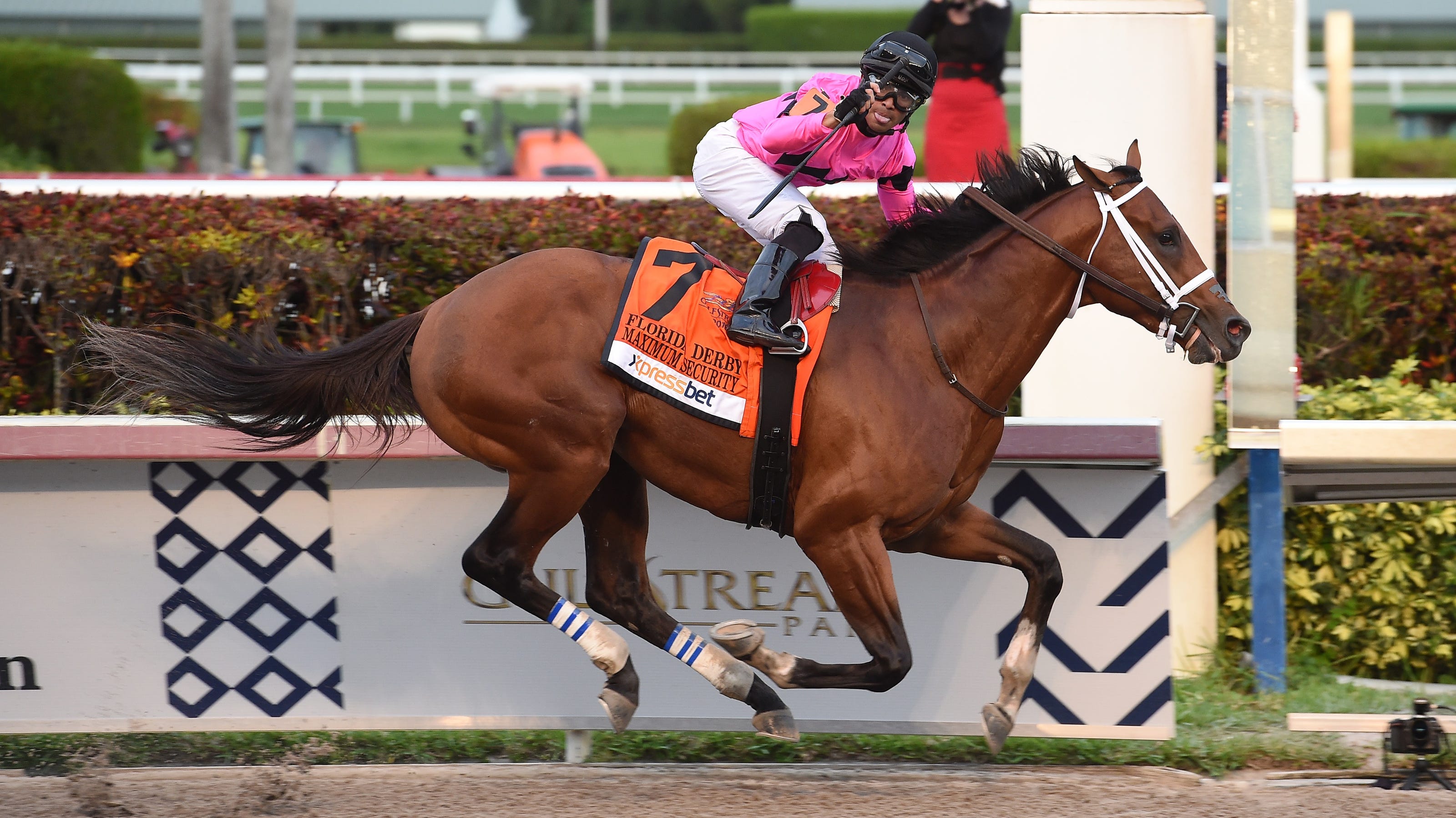 Kentucky Derby horses 2019 Maximum Security a puzzling contender