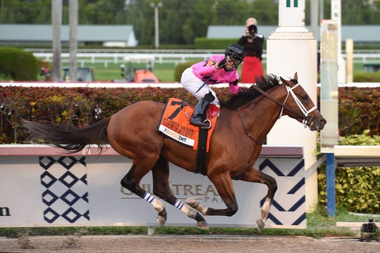 Kentucky Derby Long Shot Bets 2019 5 Horses With Low Odds
