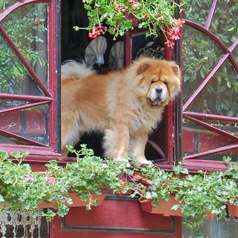 Try some traditional cuisine in one of Lyon's...