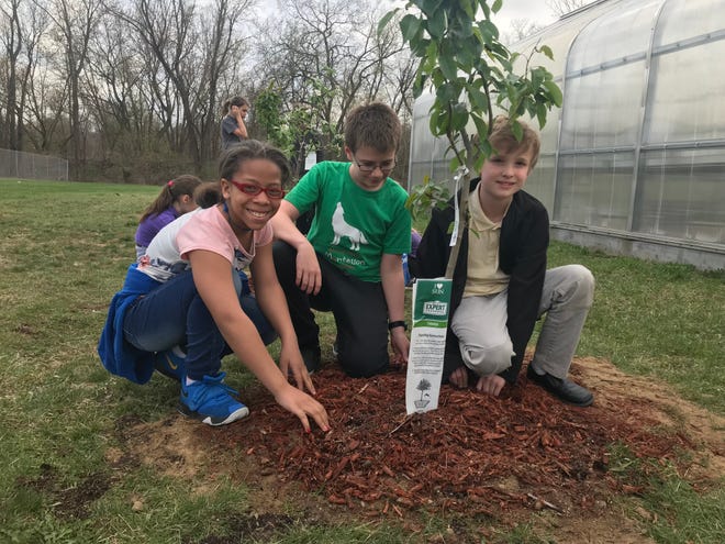 Morgan Jackson, 10, Josh Ryckman,11, and Mitchell Cooper, 10, planted fruit trees at Battle Creek Montessori Academy on Monday. The trees that were initially going to be planted were stolen, but the community donated new trees so the students could plant them to celebrate Earth Day.