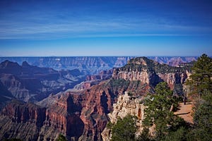 The view from the North Rim of the Grand Canyon offers a textured depth not found at the South Rim.