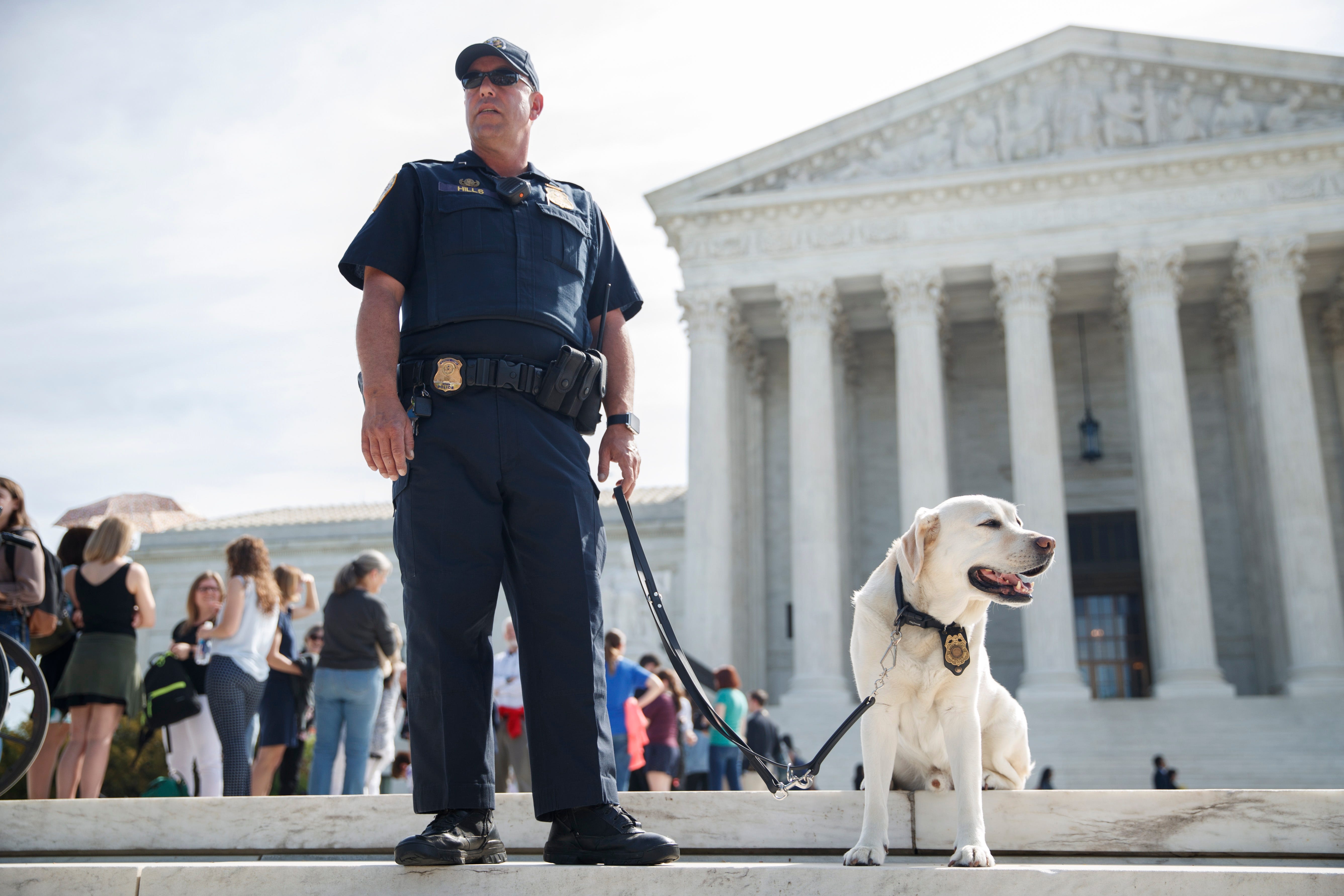 Can Police Use Dogs Without Consent