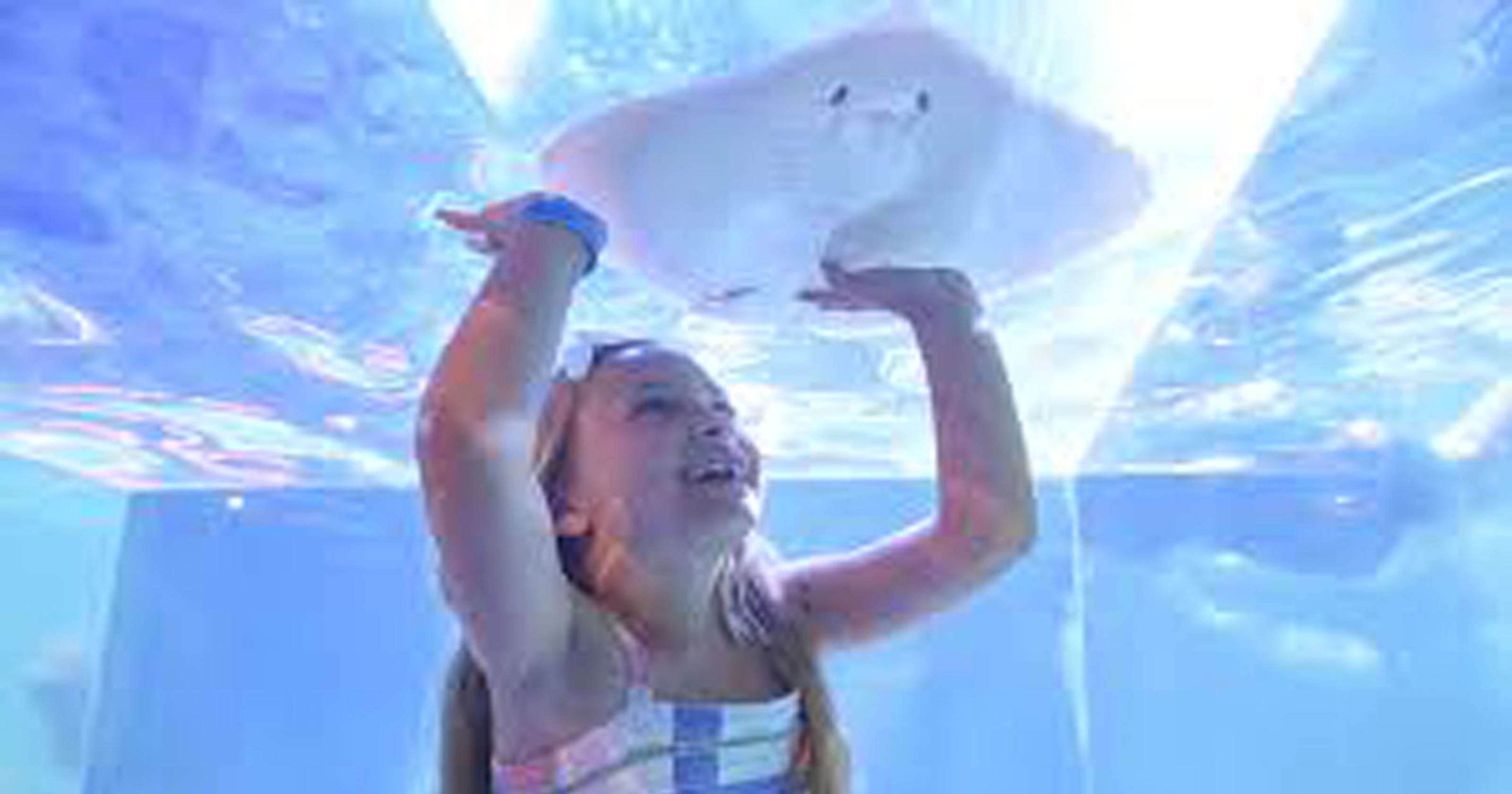 PETA urges state to investigate SeaQuest aquarium in Woodbridge